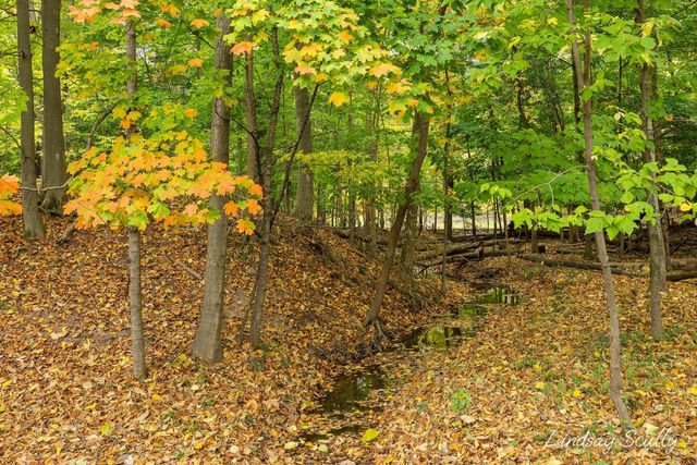 2085 Jamestown Drive Se, City Of Kentwood, MI 49508