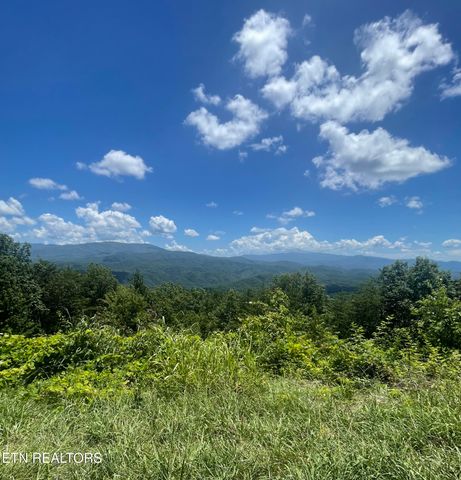 6028 Happy Valley Rd, Tallassee, TN 37878