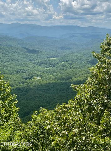 6028 Happy Valley Rd, Tallassee, TN 37878