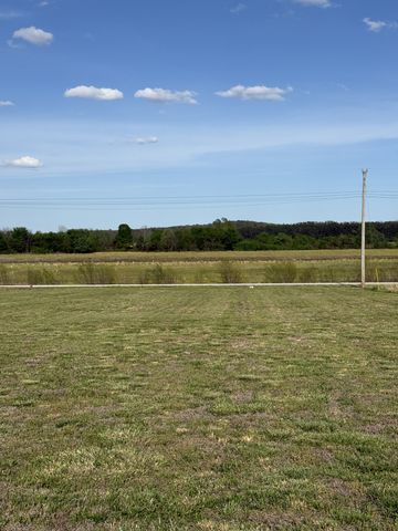 1781 Hardin Bottom River Rd, Clifton, TN 38425