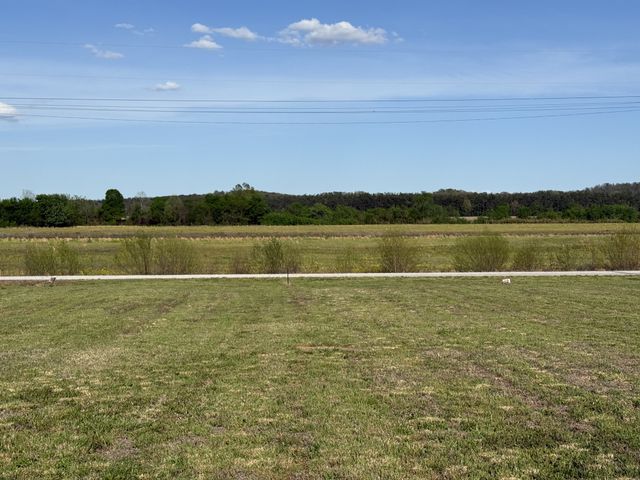 1781 Hardin Bottom River Rd, Clifton, TN 38425