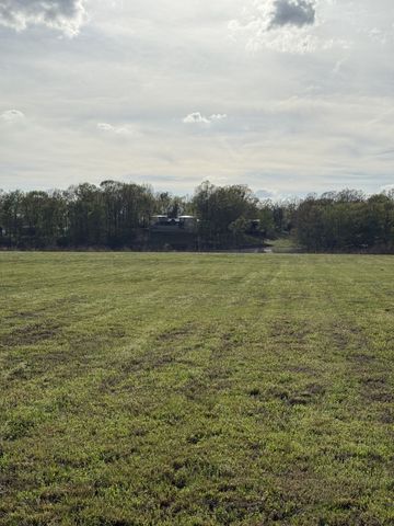 1781 Hardin Bottom River Rd, Clifton, TN 38425