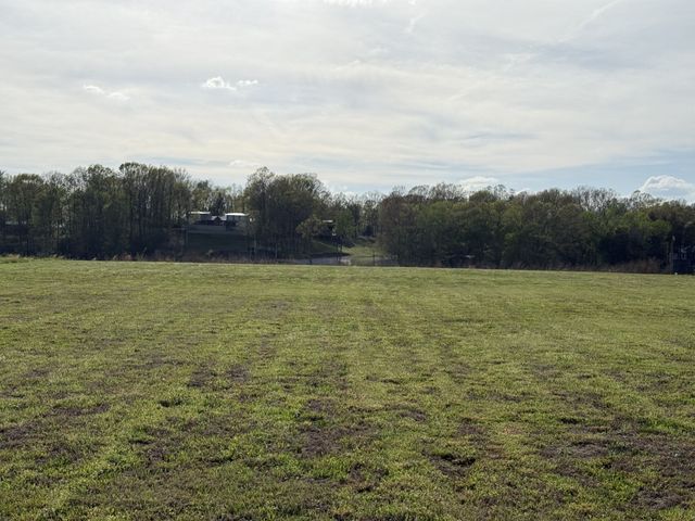 1781 Hardin Bottom River Rd, Clifton, TN 38425