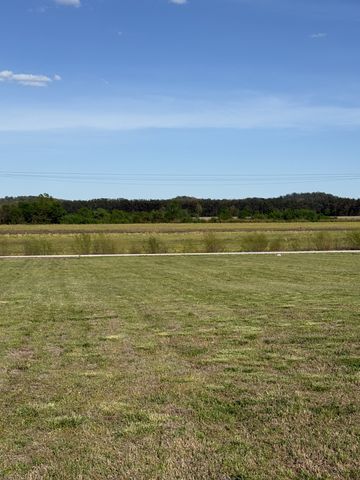 1781 Hardin Bottom River Rd, Clifton, TN 38425