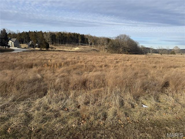 205 TBB Pleasant Valley Estates Drive, Eureka, MO 63025