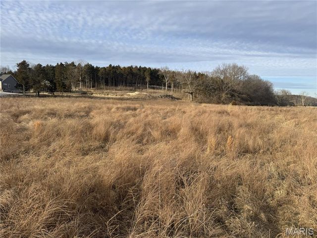 205 TBB Pleasant Valley Estates Drive, Eureka, MO 63025