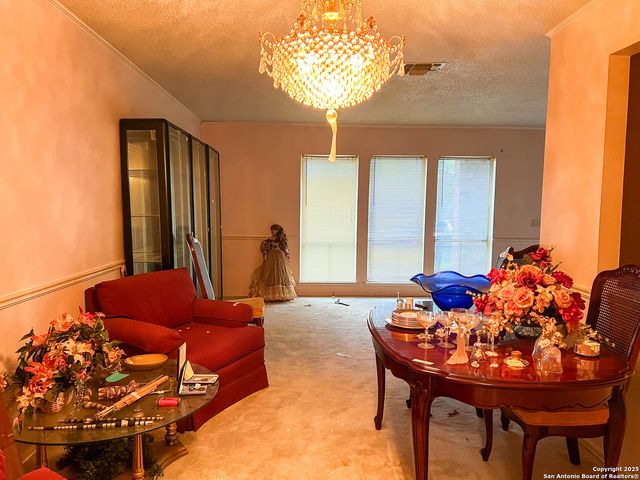 5422 El Tejano, San Antonio, TX 78233