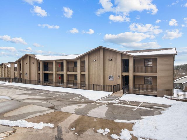 164 Dogwood Park Trail 1212, Indian Point, MO 65616