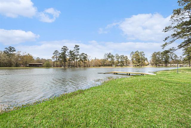 19331 E Lakeshore Drive Drive, Magnolia, TX 77355