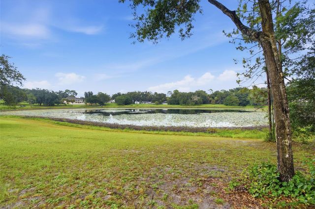 38700 LAKEVIEW DRIVE, Lady Lake, FL 32159