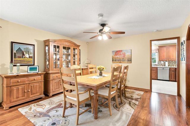 38700 LAKEVIEW DRIVE, Lady Lake, FL 32159