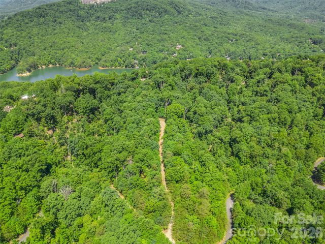 0 Hawks Nest Trail 31, Lake Lure, NC 28746