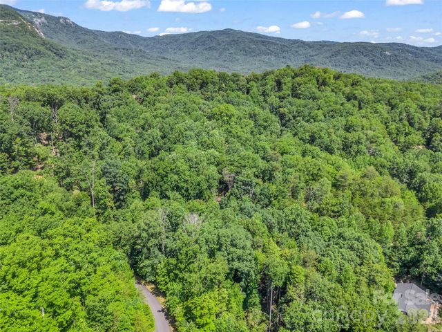 0 Hawks Nest Trail 31, Lake Lure, NC 28746