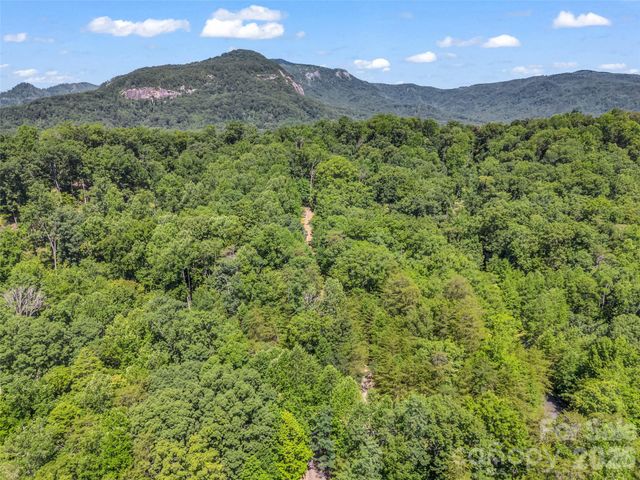 0 Hawks Nest Trail 31, Lake Lure, NC 28746