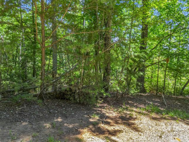 0 Hawks Nest Trail 31, Lake Lure, NC 28746