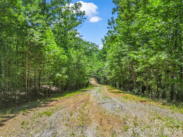0 Hawks Nest Trail 31, Lake Lure, NC 28746