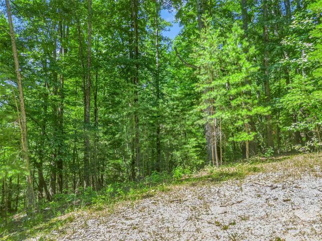0 Hawks Nest Trail 31, Lake Lure, NC 28746