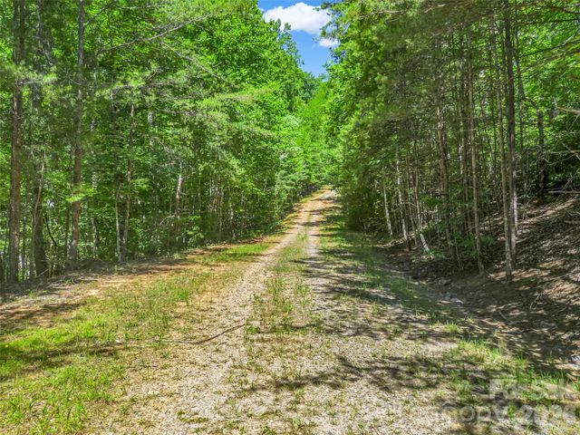 0 Hawks Nest Trail 31, Lake Lure, NC 28746