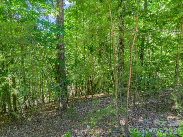 0 Hawks Nest Trail 31, Lake Lure, NC 28746