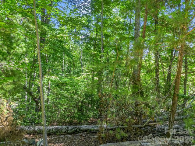 0 Hawks Nest Trail 31, Lake Lure, NC 28746