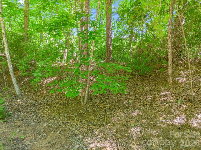 0 Hawks Nest Trail 31, Lake Lure, NC 28746