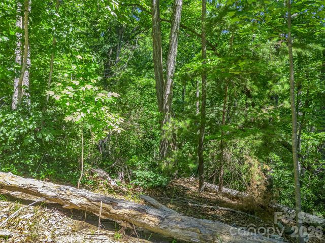 0 Hawks Nest Trail 31, Lake Lure, NC 28746