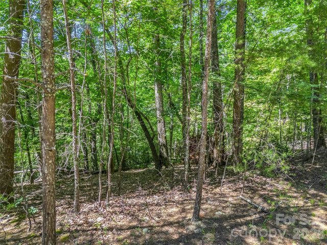 0 Hawks Nest Trail 31, Lake Lure, NC 28746