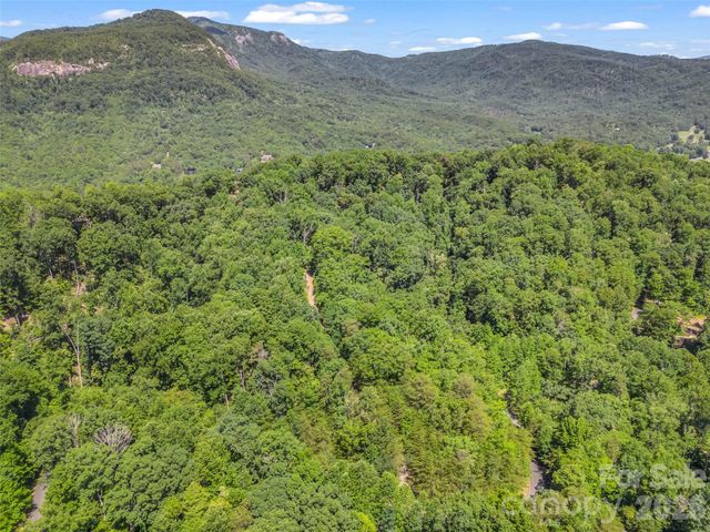 0 Hawks Nest Trail 31, Lake Lure, NC 28746