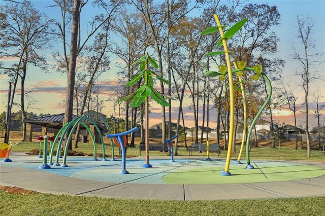 17793 Hanson Ridge Drive, Montgomery, TX 77316