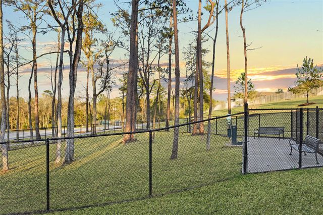 17793 Hanson Ridge Drive, Montgomery, TX 77316