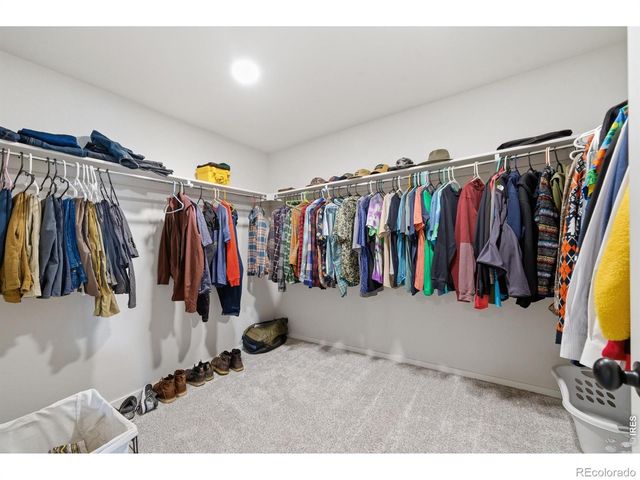 2939 Coleman Street, Fort Collins, CO 80524