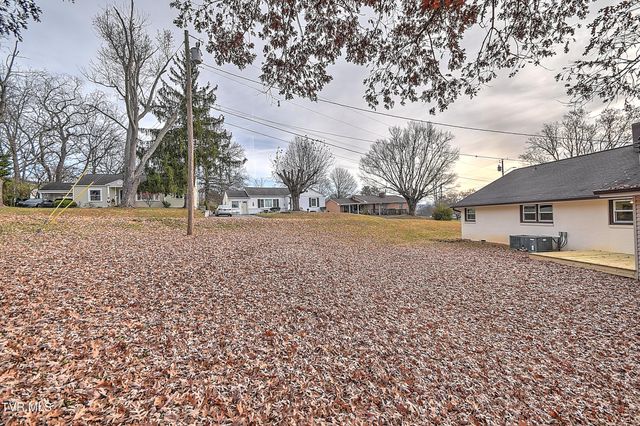 1000 Lincoln Avenue, Johnson City, TN 37604