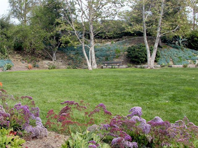 27361 Calle De La Rosa, San Juan Capistrano, CA 92675
