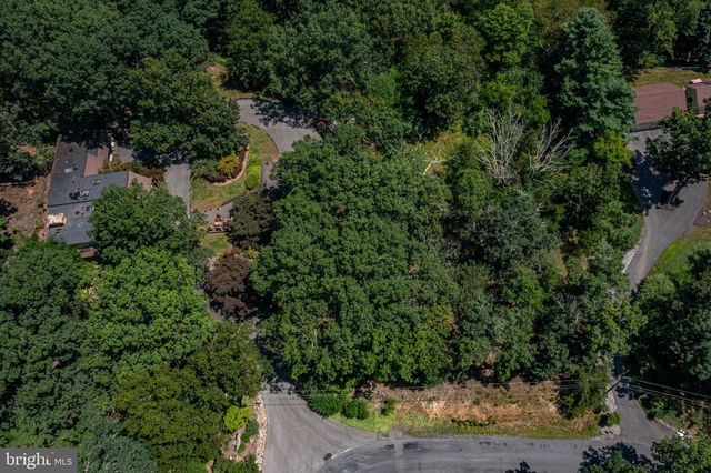 0000 ROBINHOOD, Lavale, MD 21502