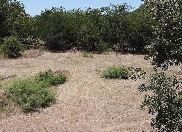 1016 SE 4th Avenue, Mineral Wells, TX 76067