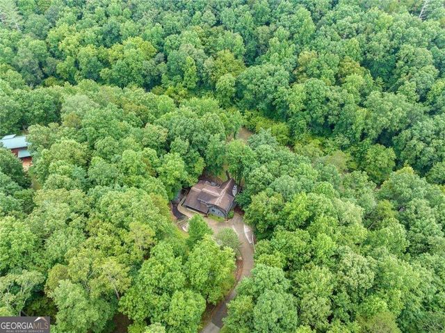 338 Woody Tucker Road, Dawsonville, GA 30534