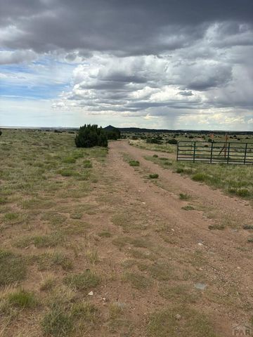 Lot 66 Rio Cucharas, Walsenburg, CO 81089