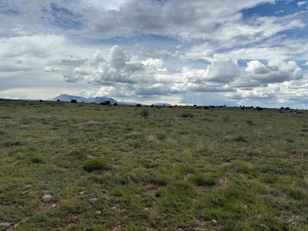 Lot 66 Rio Cucharas, Walsenburg, CO 81089