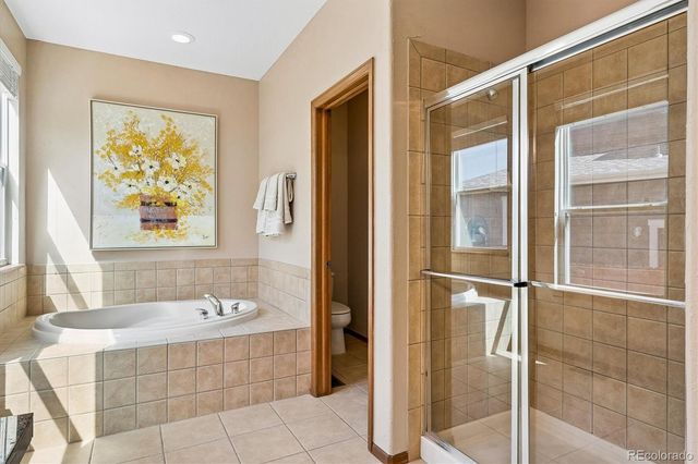 915 Tarpan Place, Castle Rock, CO 80104