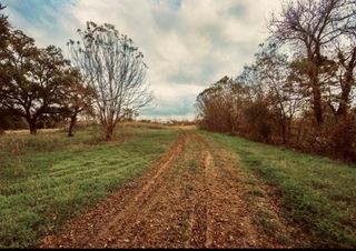 12215 Foxton Road, Houston, TX 77048