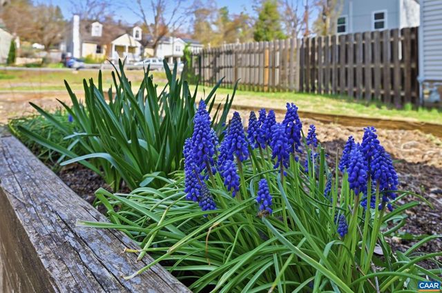 1641 CHERRY AVE, Charlottesville, VA 22903