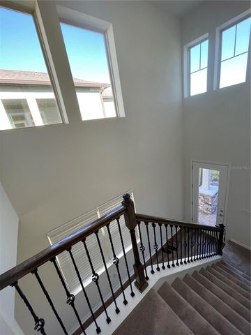 3323 MONROE MEADOWS DRIVE, Odessa, FL 33556