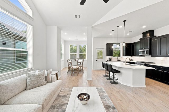 147 W Coralburst Loop, Montgomery, TX 77316