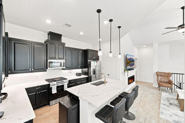 147 W Coralburst Loop, Montgomery, TX 77316