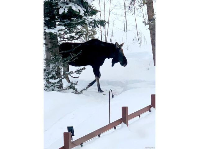 1666 High Creek Rd, Fairplay, CO 80440