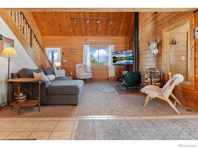 1666 High Creek Rd, Fairplay, CO 80440