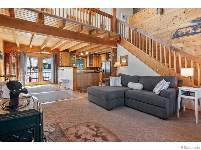 1666 High Creek Rd, Fairplay, CO 80440