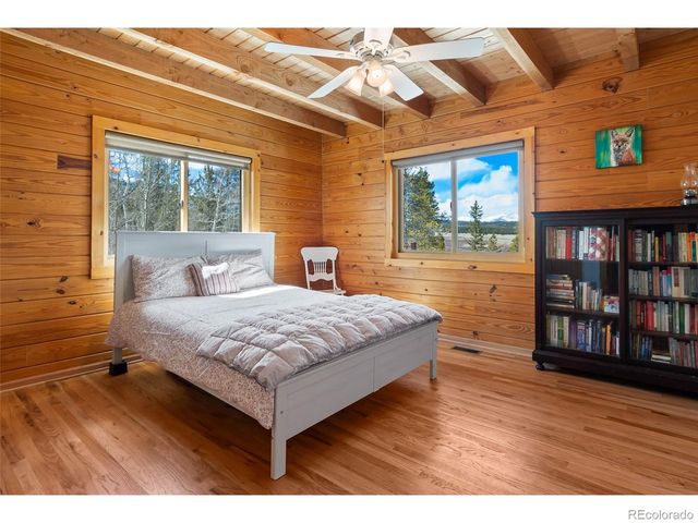 1666 High Creek Rd, Fairplay, CO 80440