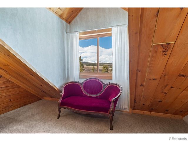 1666 High Creek Rd, Fairplay, CO 80440