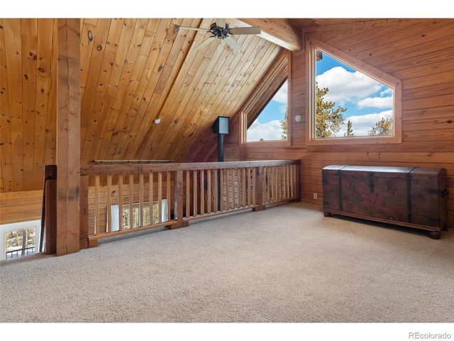 1666 High Creek Rd, Fairplay, CO 80440